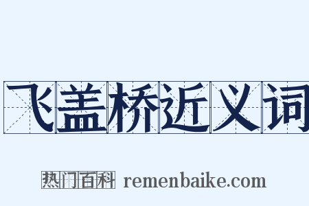 飞盖桥近义词是什么意思的图片